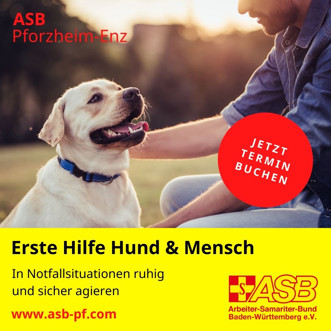 Erste Hilfe für Hund & Mensch